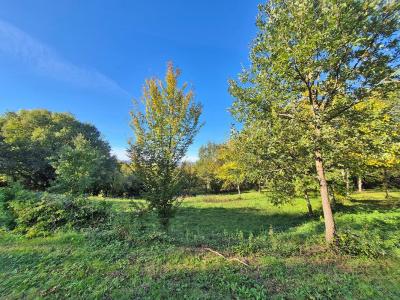 Acheter Terrain Cassagne Dordogne