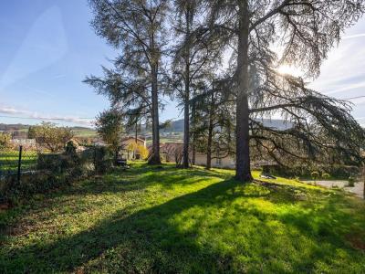 Acheter Maison 350 m2 Pontcharra-sur-turdine