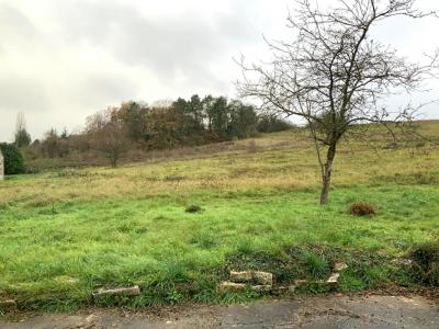 Acheter Maison Moret-sur-loing 395000 euros