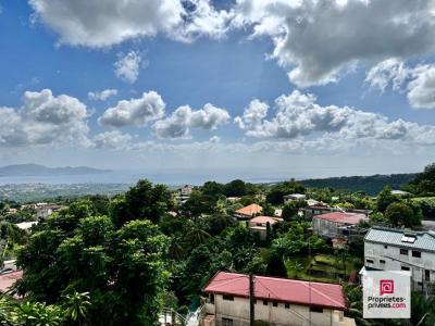 Annonce Vente 2 pices Appartement Fort-de-france 972