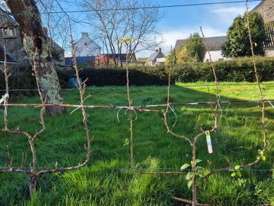 Acheter Maison 63 m2 Locmalo