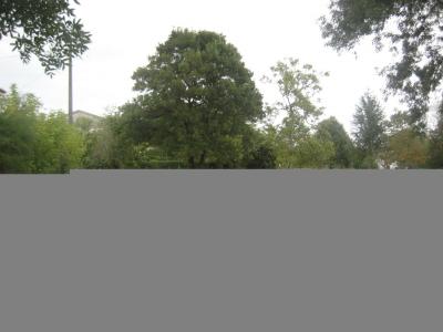 For sale Gironde (33410) photo 0