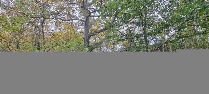 Acheter Maison  Loir et cher