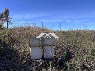 Annonce Vente Terrain Plaine-des-cafres 974