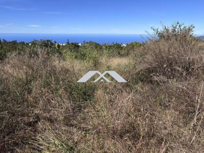 Acheter Terrain 1200 m2 Plaine-des-cafres