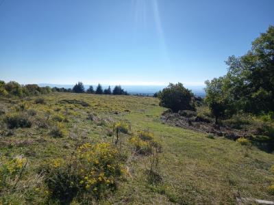 Annonce Vente 5 pices Maison Tourette-cabardes 11