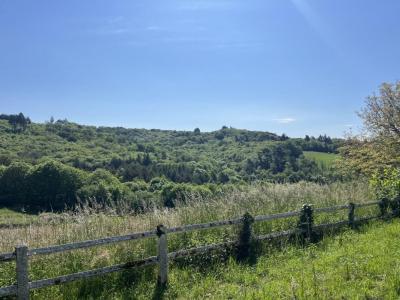 Acheter Prestige Pescher 279000 euros