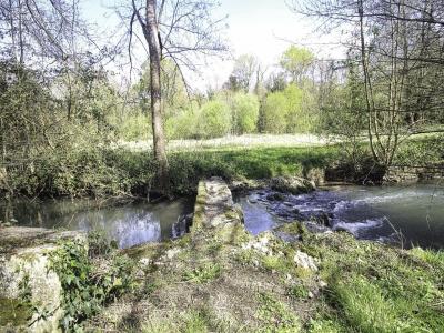 Acheter Maison 298 m2 Grandjean