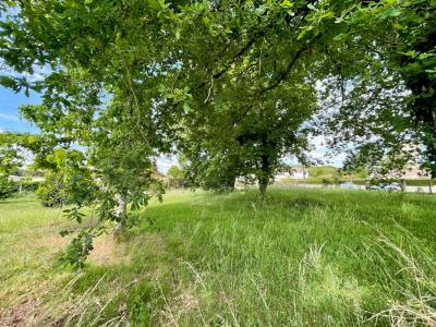 Annonce Vente Terrain Merignac 33