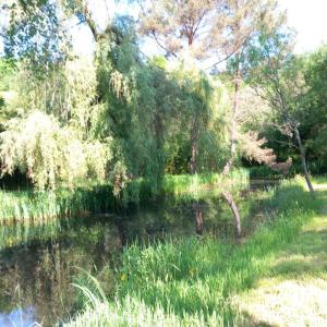 Annonce Vente 4 pices Maison Bouzy-la-foret 45