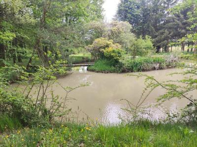 Annonce Vente Terrain Mignaloux-beauvoir 86