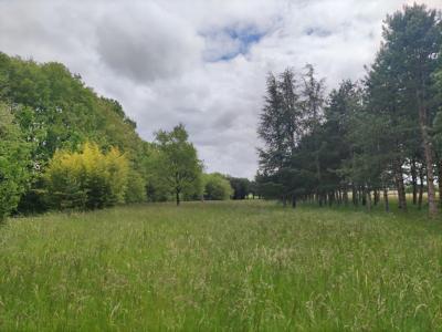 Acheter Terrain 32767 m2 Mignaloux-beauvoir