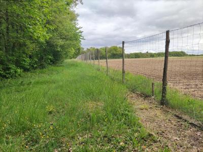 Acheter Terrain Mignaloux-beauvoir 295000 euros