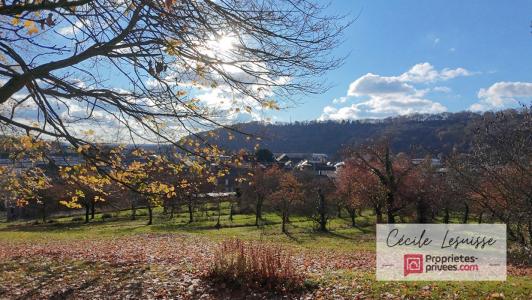 Acheter Maison 451 m2 Lillebonne