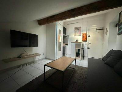 Louer Appartement Lyon-2eme-arrondissement Rhone
