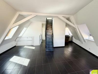 Annonce Vente 3 pices Appartement Colmar 68