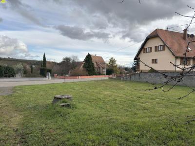 Annonce Vente Terrain Orschwihr 68