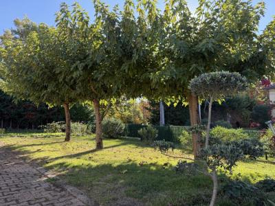 Acheter Maison Montauban Tarn et garonne