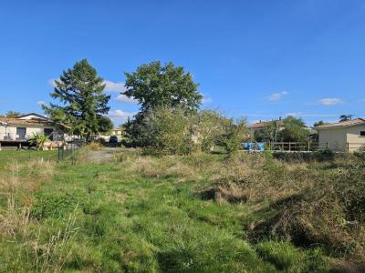 Annonce Vente 4 pices Maison Martillac 33