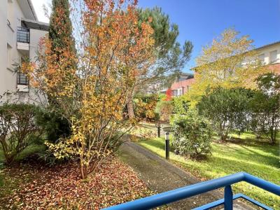 Annonce Location 2 pices Appartement Ramonville-saint-agne 31