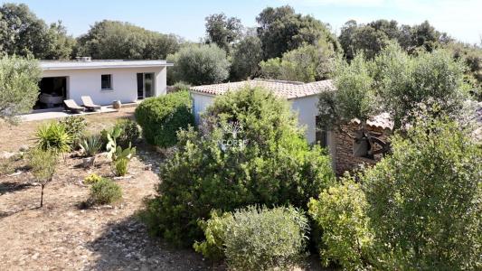 Annonce Vente 5 pices Maison Bonifacio 20