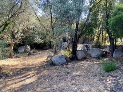 Annonce Vente Terrain Olmeto 20