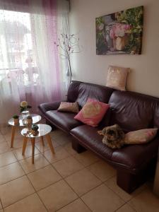 Annonce Location 2 pices Appartement Craponne 69