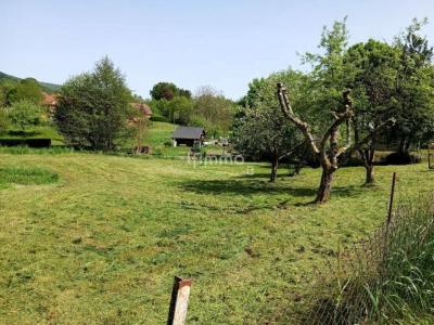 For sale Sickert 1057 m2 Haut rhin (68290) photo 0