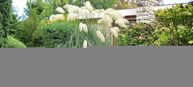 Acheter Maison 300 m2 