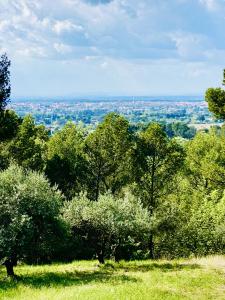 Annonce Vente 6 pices Maison  84