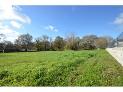 Annonce Vente Terrain Porcheres 33