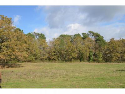 Acheter Terrain 5899 m2 Porcheres