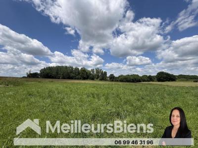 Annonce Vente 5 pices Maison Montguyon 17