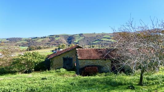 Acheter Maison 172 m2 Pagolle