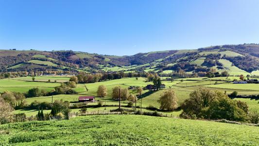 Acheter Maison Pagolle Pyrenees atlantiques