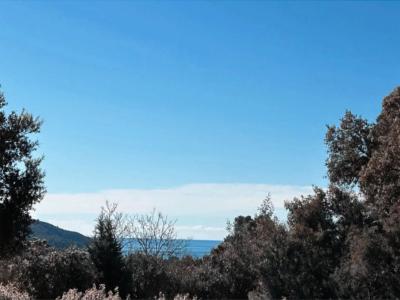 Annonce Vente 4 pices Maison Croix-valmer 83