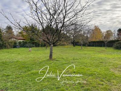 Annonce Vente Terrain Tournefeuille 31