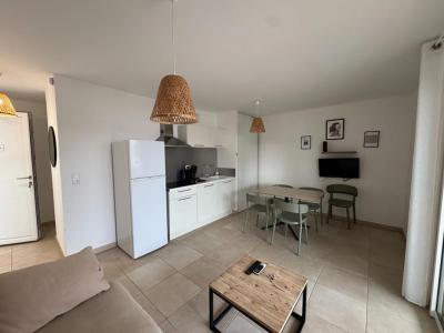 Acheter Appartement 45 m2 Linguizzetta