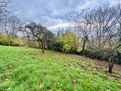 Annonce Vente Terrain Manneville-la-pipard 14