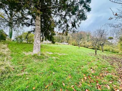 Annonce Vente Terrain Manneville-la-pipard 14