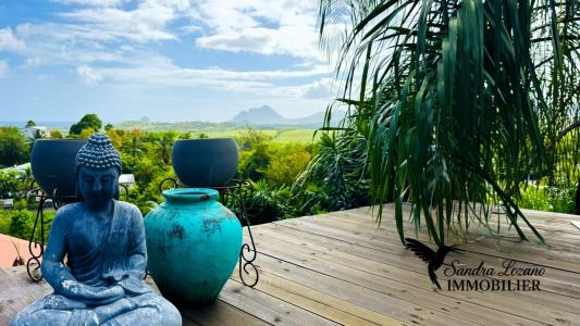 Annonce Vente 12 pices Maison Sainte-luce 972