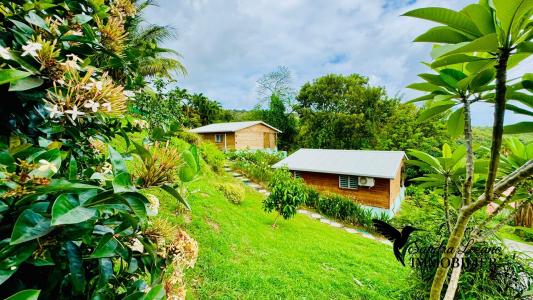 Acheter Maison Sainte-luce 998400 euros