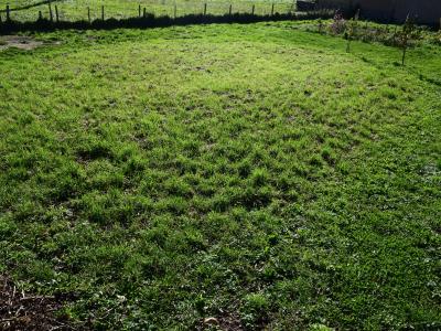 For sale Chatelus CHEVRIARES Loire (42140) photo 0