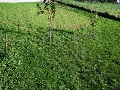 Acheter Terrain Chatelus 55000 euros