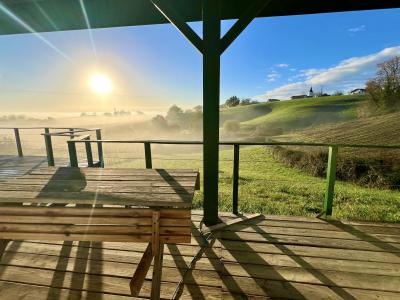 Acheter Maison Saint-palais Pyrenees atlantiques