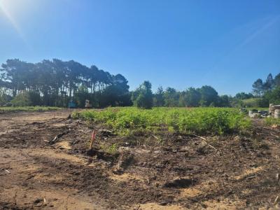 Annonce Vente Terrain Salles 33
