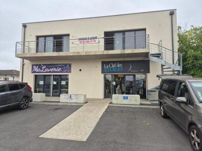 Louer Local commercial Salvetat-saint-gilles Haute garonne