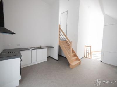 For rent Avelin 3 rooms 77 m2 Nord (59710) photo 0