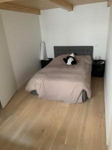 Louer Appartement Lyon-2eme-arrondissement Rhone