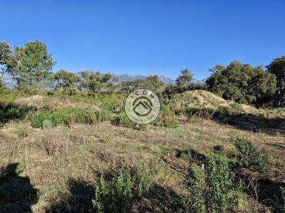 Acheter Terrain Figari